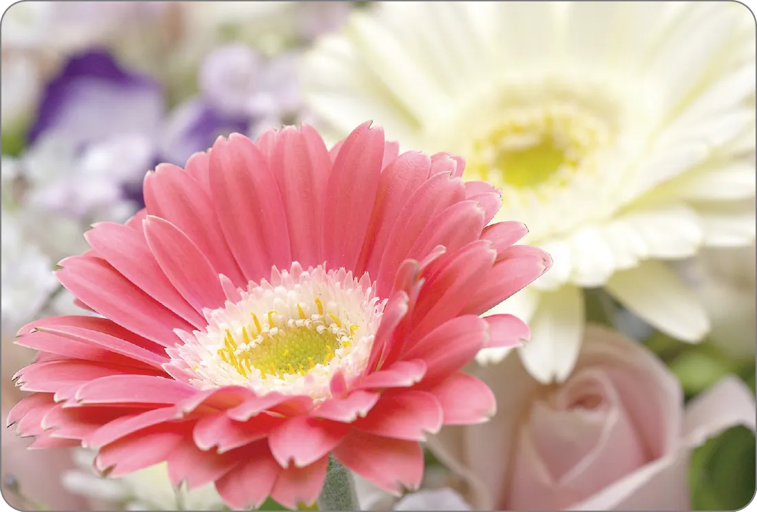 �C���[�W�őI��22