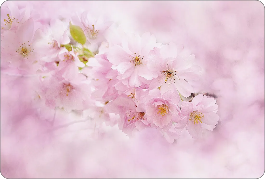 �C���[�W�őI��23