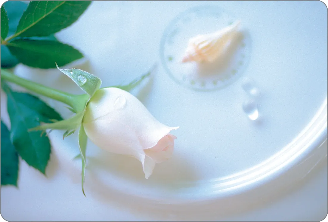 �C���[�W�őI��24